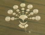 rex_crop_circles_alien_nt_110801_ssh